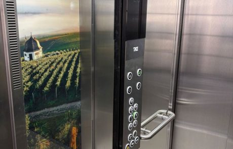 Bedrucktes Glas Weinrebe